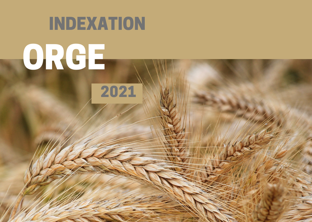 Études de coûts de production : INDEXATION 2021 - ORGE